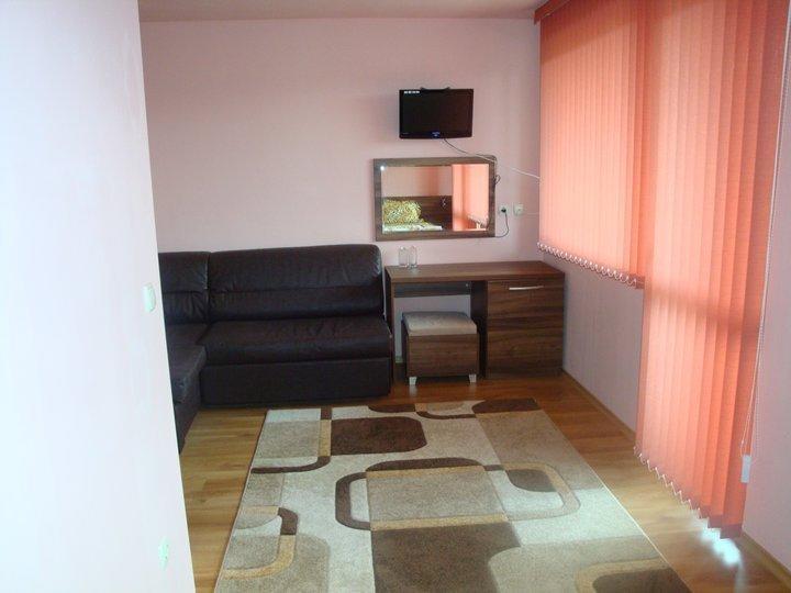 Tzvetelina Palace Hotel Dolna Banea Cameră foto
