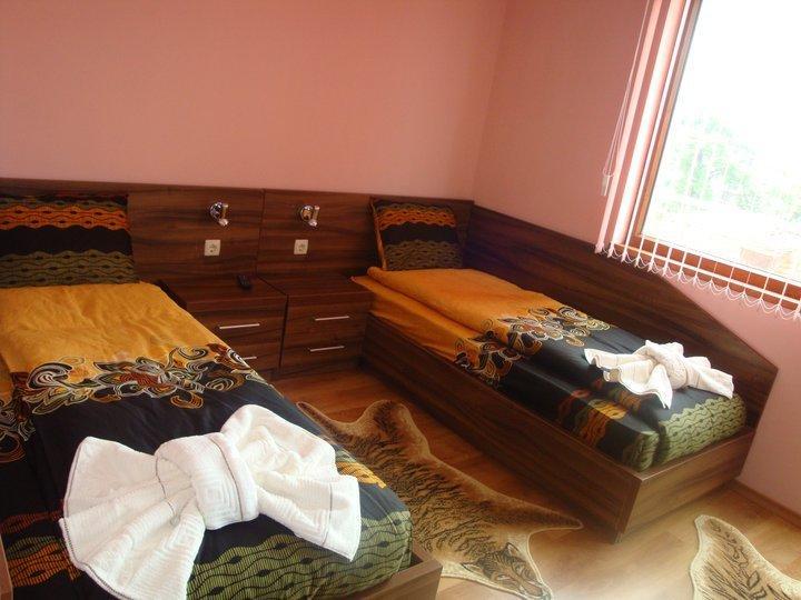 Tzvetelina Palace Hotel Dolna Banea Cameră foto