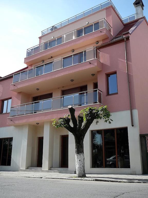 Tzvetelina Palace Hotel Dolna Banea Exterior foto
