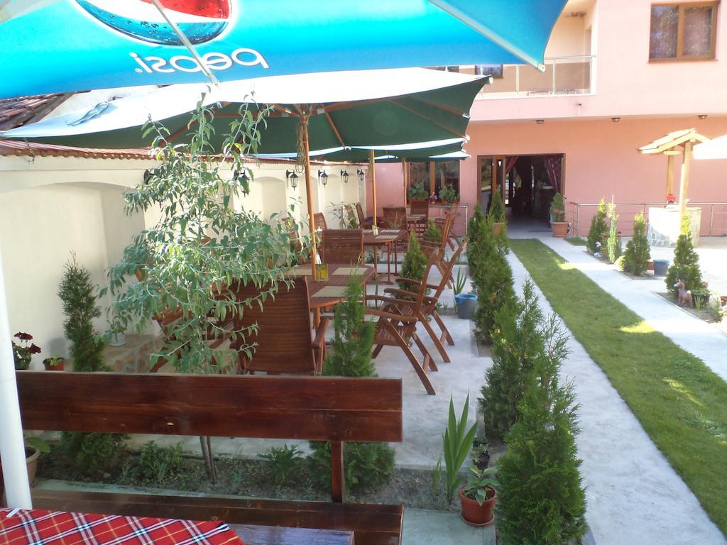 Tzvetelina Palace Hotel Dolna Banea Exterior foto